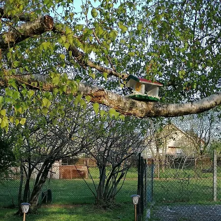 Vakantiehuis Mila Fruska Gora *