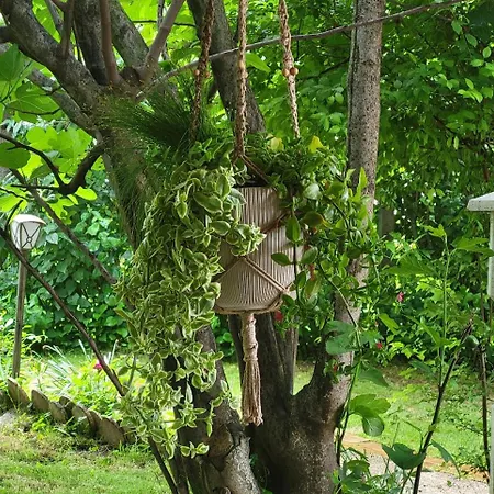 Holiday home Mila Fruska Gora