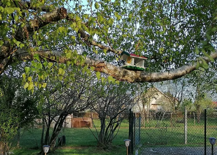 Casa vacanze Mila Fruska Gora *