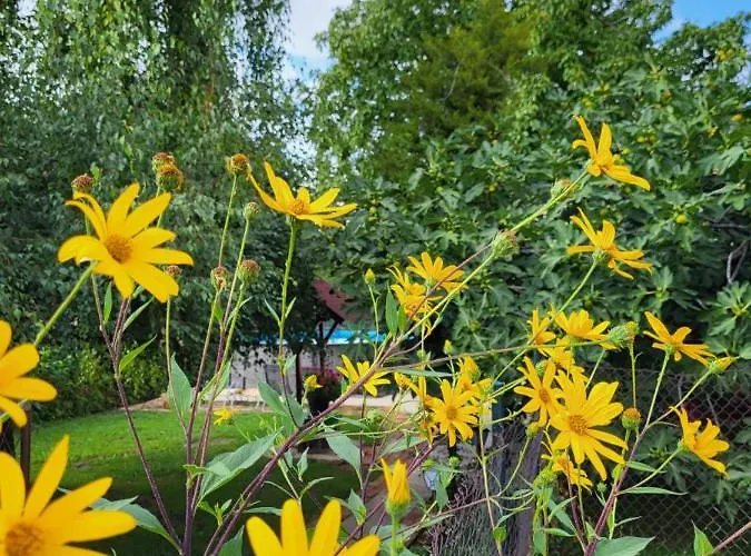 Mila Fruska Gora Casa vacanze