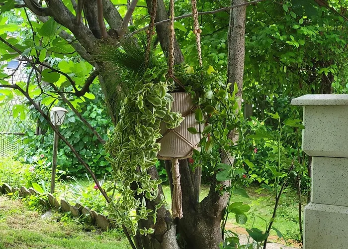 Casa vacanze Mila Fruska Gora